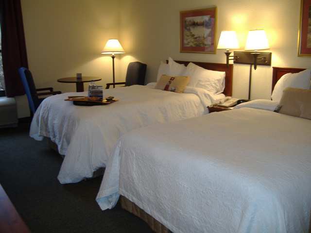 Wyndham Garden Greenville / Spartanburg Airport 객실 사진